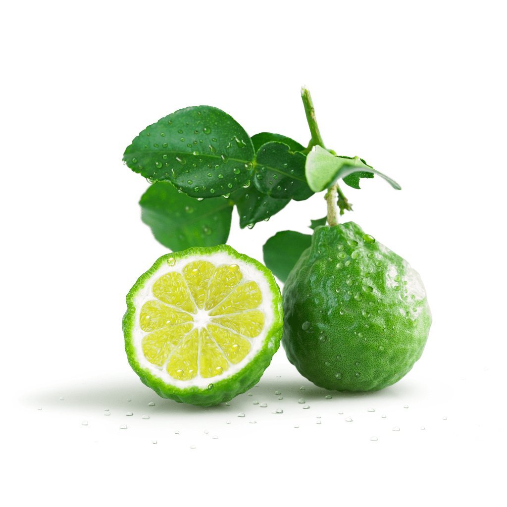 Fresh Rain + Bergamot (2-Pack)