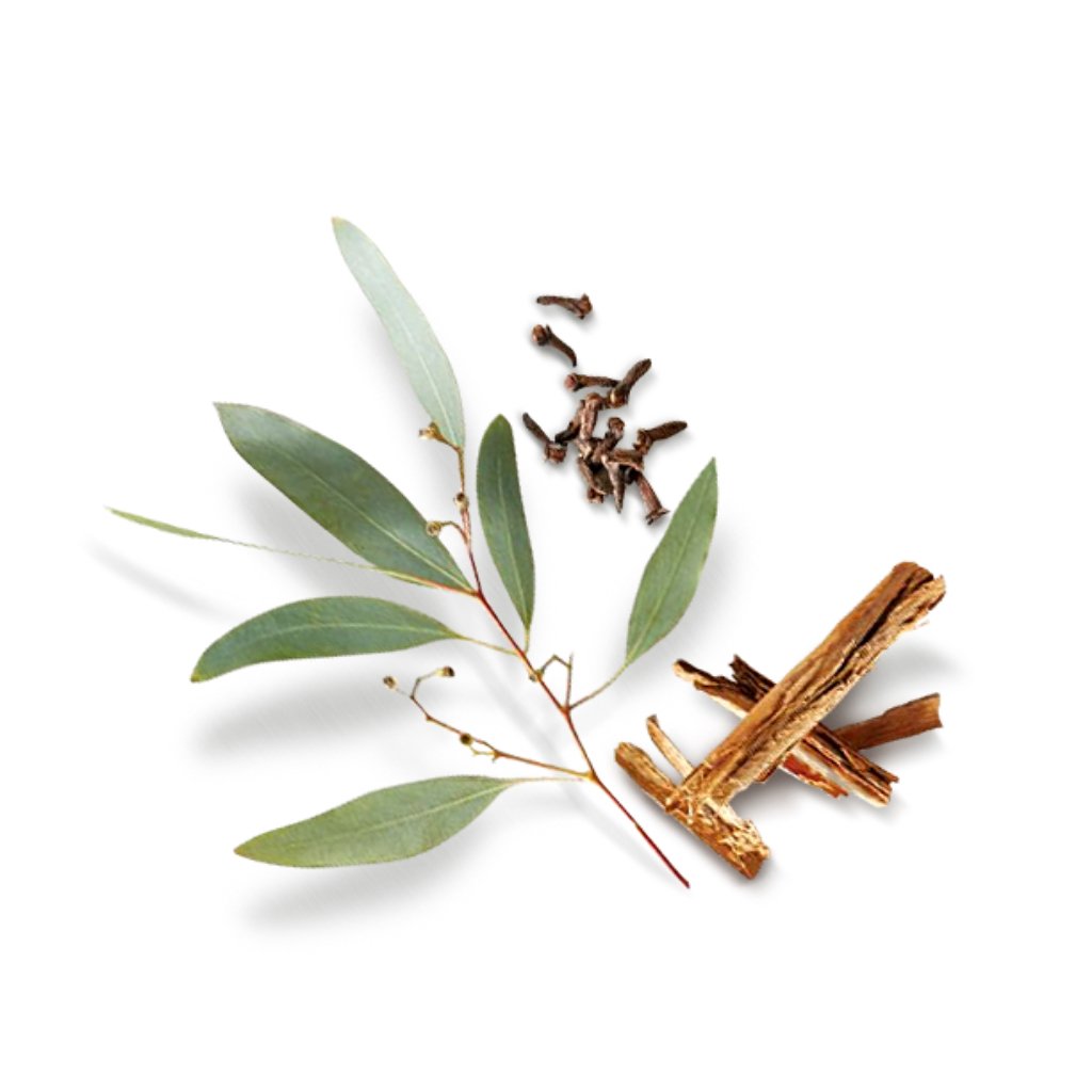 Modern Spice (2-Pack)