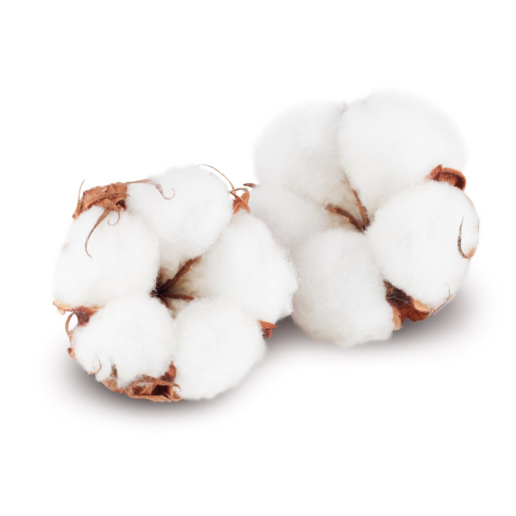 Fragrance-Free (2-Pack)